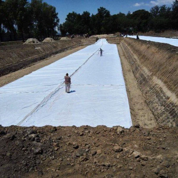 100% PP Spunbond בד לא ארוג לכיסוי חקלאי